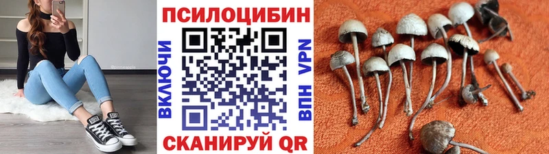 Купить где  Магнитогорск  Галлюциногенные грибы GOLDEN TEACHER 